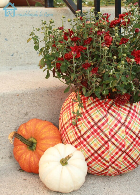 Pumpkin Planters