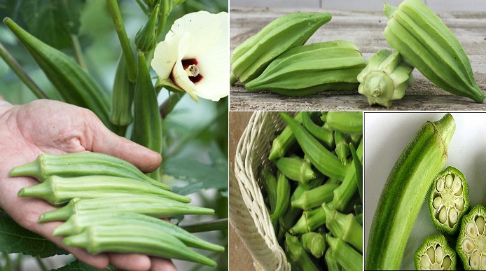 6-little-known-reasons-to-eat-more-okra