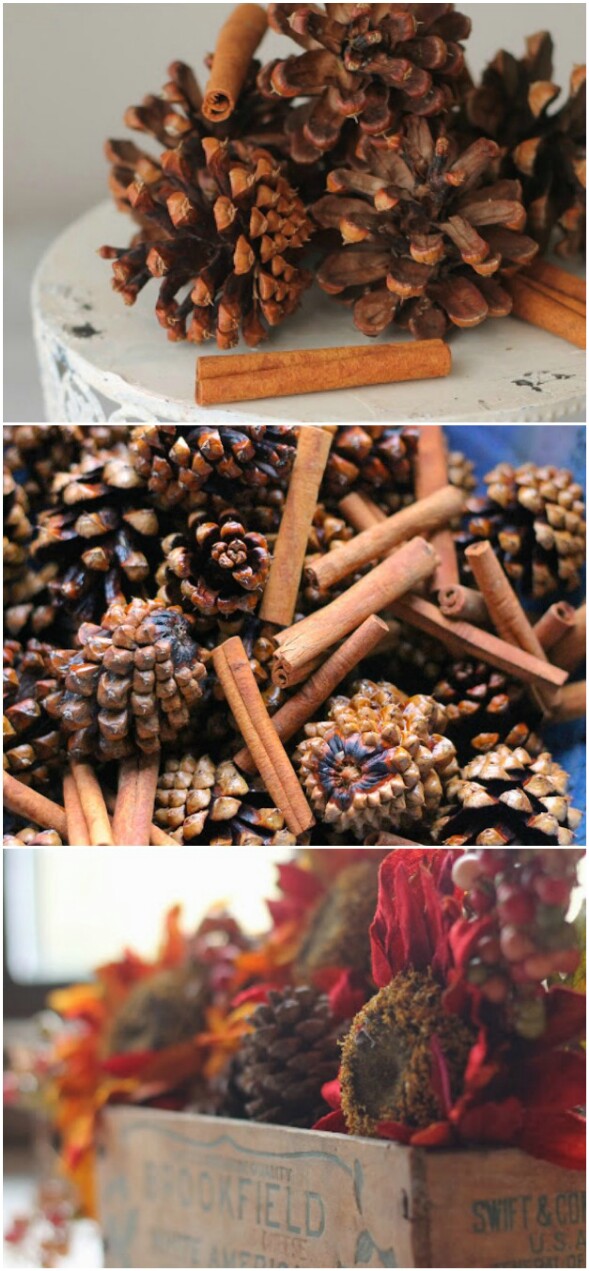 Cinnamon Pinecones