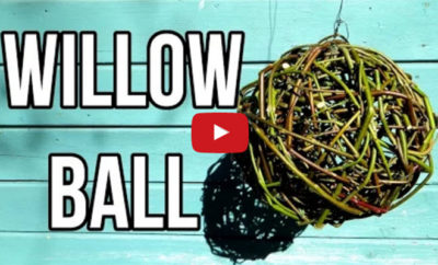 willow ball